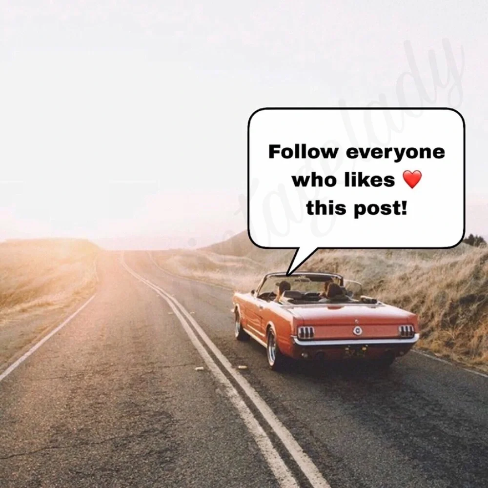 Follow Game - Picture 3 of 6